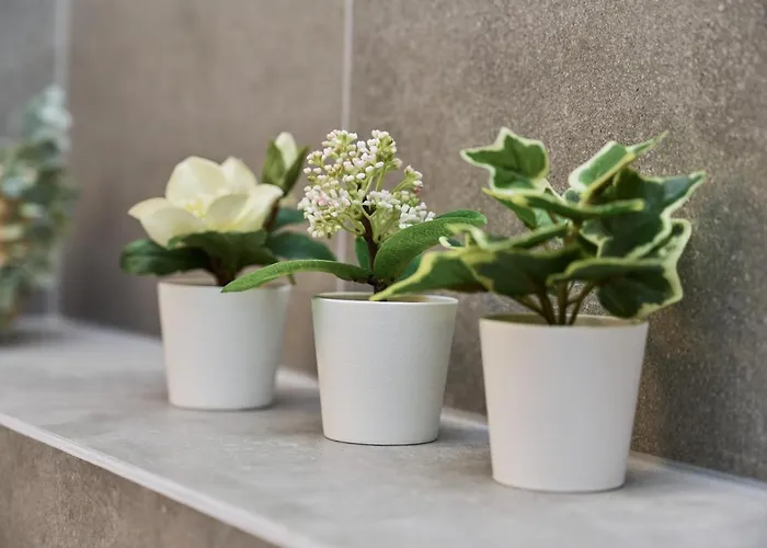 דירה Wichrowa With Free Garage By Renters